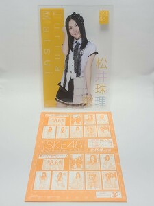 松井珠理奈(ノーマル) 「ジャンボカードダス SKE48 コレクションプレート」