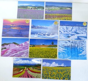 ☆未使用品!POST CARD ポストカード 北海道 屈斜路湖に集まる白鳥/押しよせる流氷と知床連山など 10枚セット☆