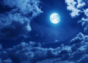 月 スーパームーン Super Luna 満月の夜 天体 神秘 癒し 絵画風 壁紙ポスター A2版594×420mm（はがせるシール式）008A2