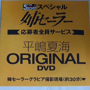 DVD アサ芸シークレット スペシャル 姉セーラー vol.2 平嶋夏海 開封済