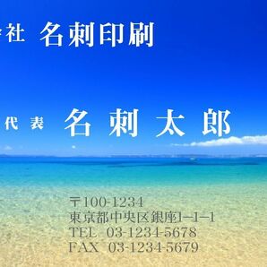 ★デザインフリー 名刺作成 ロゴ・写真・QRコード無料 フルカラー１箱100枚900円 プラケース付 ★の画像1