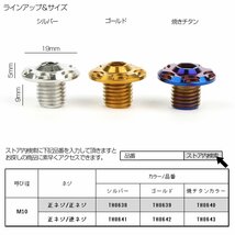 M10 ミラーホール カバーキャップ ボルト スノー 焼きチタン 正ネジ/正ネジ 2本セット ミラー ネジ穴 キャップ TH0640_画像3