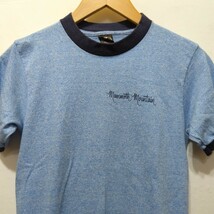 70〜80年代 黒タグ アンビル Anvil プリント 半袖Tシャツ メンズ S リンガーTシャツ バクプリ バックプリント USA製_画像2