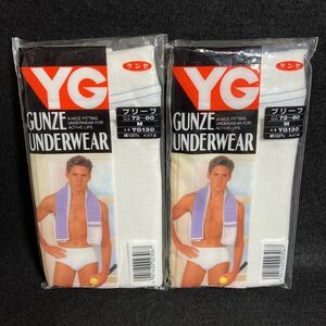 未使用 GUNZE グンゼ YG YG130 ブリーフ Mサイズ 2点セット