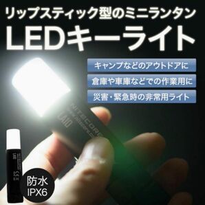 bush de brunt ripshot 新品未開封　リップスティック型　LEDランタン　nitecore