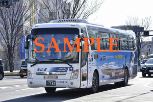 D-20【バス写真】L版４枚　九州産交バス　ヒュンダイユニバース　空港リムジン　熊本駅前（３）