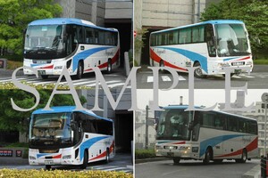 D[ bus photograph ]L version 4 sheets Nagasaki automobile Selega Aero Queen Holland 