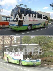 D【バス写真】Ｌ版３枚　本四バス　高速車　広島線　フラワーライナー