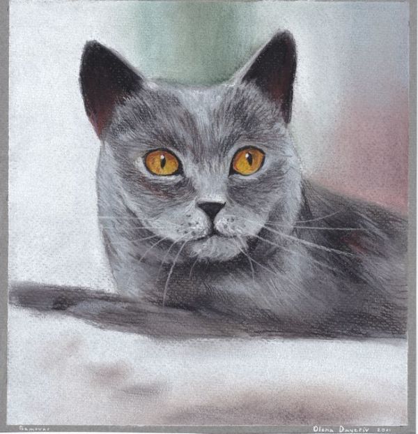 ☆Pastell-Originalbild Eine sehr süße, elegante schwarze Katze mit einem etwas aristokratischen Ausdruck, Kunstwerk, Malerei, Pastellmalerei, Buntstiftzeichnung