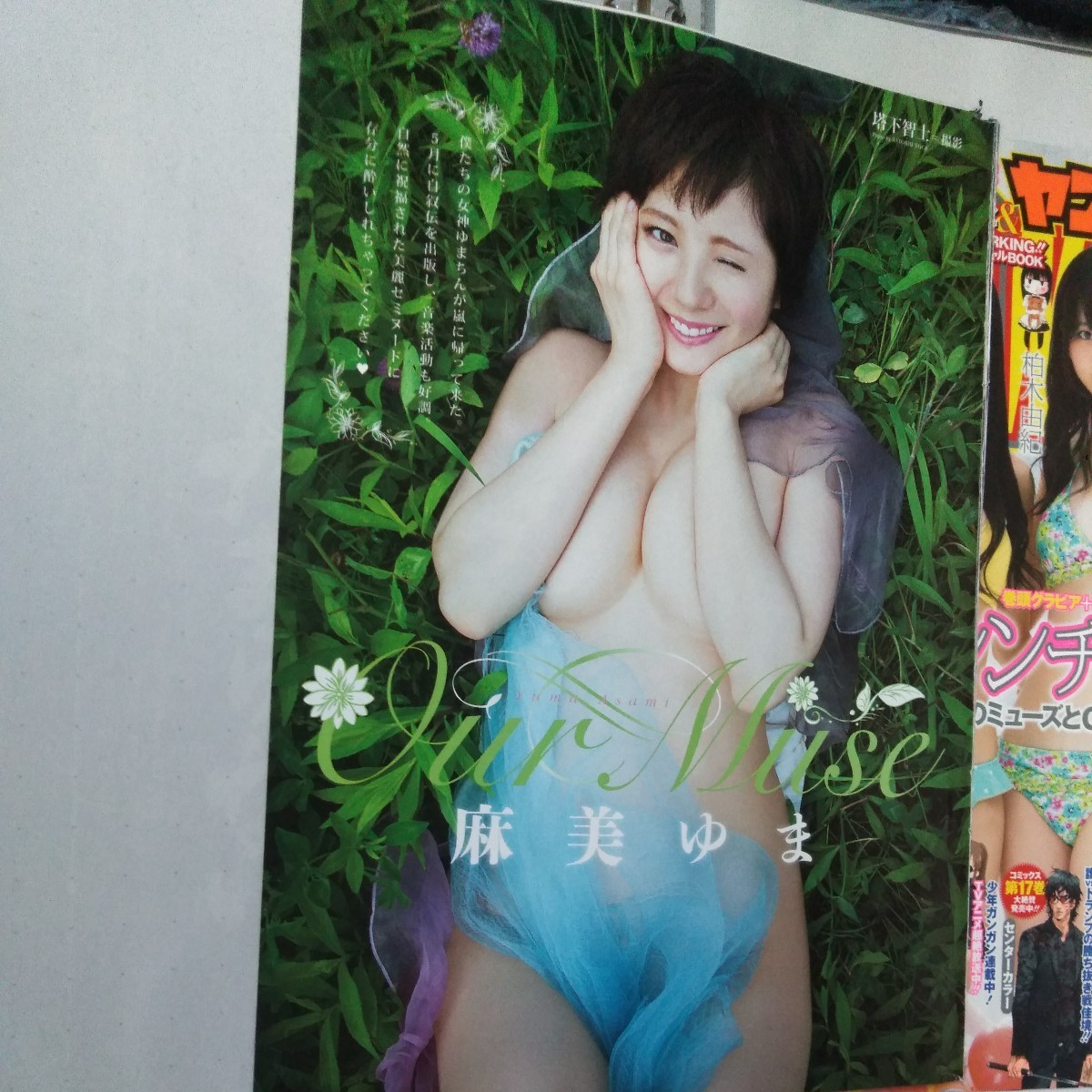 麻美ゆま フィルムカード 1of1 | www.navistar.ind.br
