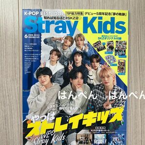 美品　Stray Kids K-POP BEST IDOL 雑誌