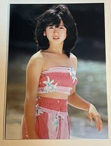 【最終値下げ】中森明菜 L判 写真　昭和アイドル 歌姫 レトロ　857