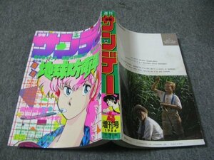 FSLe1986/04：少年サンデー・増刊/安永航一郎/中津賢也/島本和彦/みず谷なおき/克・亜樹/原秀則/天獅子悦也/こしたてつひろ/石沢のりよし