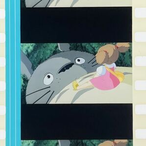 『となりのトトロ (1988) MY NEIGHBOR TOTORO』35mm フィルム 3コマ スタジオジブリ 映画 Studio Ghibli Film セル メイの画像1