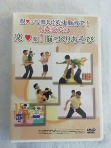 教育関連 DVD『親子で楽しく 英才脳育て！　６歳までの楽々脳づくり遊び』即決。