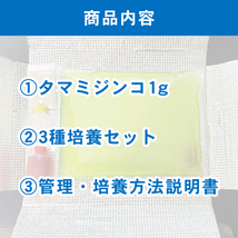 ★1円スタート&送料無料★タマミジンコ1g(1,000匹以上:死着保証あり:ネコポスお届け:自家培養:クロレラ水入り)＼3種培養セット付き／_画像6