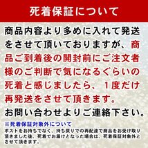 ★1円スタート&送料無料★タマミジンコ1g(1,000匹以上:死着保証あり:ネコポスお届け:自家培養:クロレラ水入り)＼3種培養セット付き／_画像2