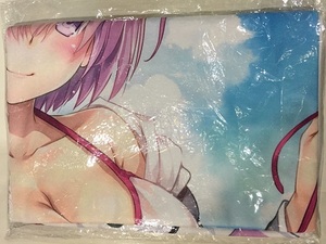 #......Fate/Grand Order towelket mashu* drill e light Digital Lover