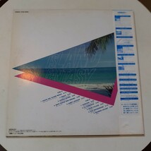 サザン・エキゾティックス SOUTHERN EXOTICS /ISLAND FANTASY/LP/MARTIN DENNY,QUIET VILLAGE/エキゾ/和モノ/細野晴臣/ヤン富田/COS/MES　_画像4