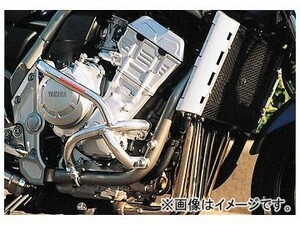 ゴールドメダル スラッシュガード バフ仕上げ サブフレーム無し SGY06A-1 ヤマハ FZS1000 5LB ～2005年 2輪