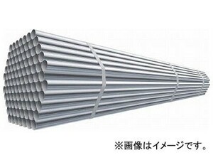 大和鋼管工業 スーパーライトパイプ 3.0m ピン無 SL30(7616058)