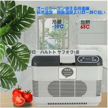 人気 冷蔵庫15L -10℃～65℃ 冷温庫 保冷温庫 冷凍庫 電子保冷保温ボックス 家庭用＆車用 カー トラック 大容量 オールシーズン大活躍 D190_画像3