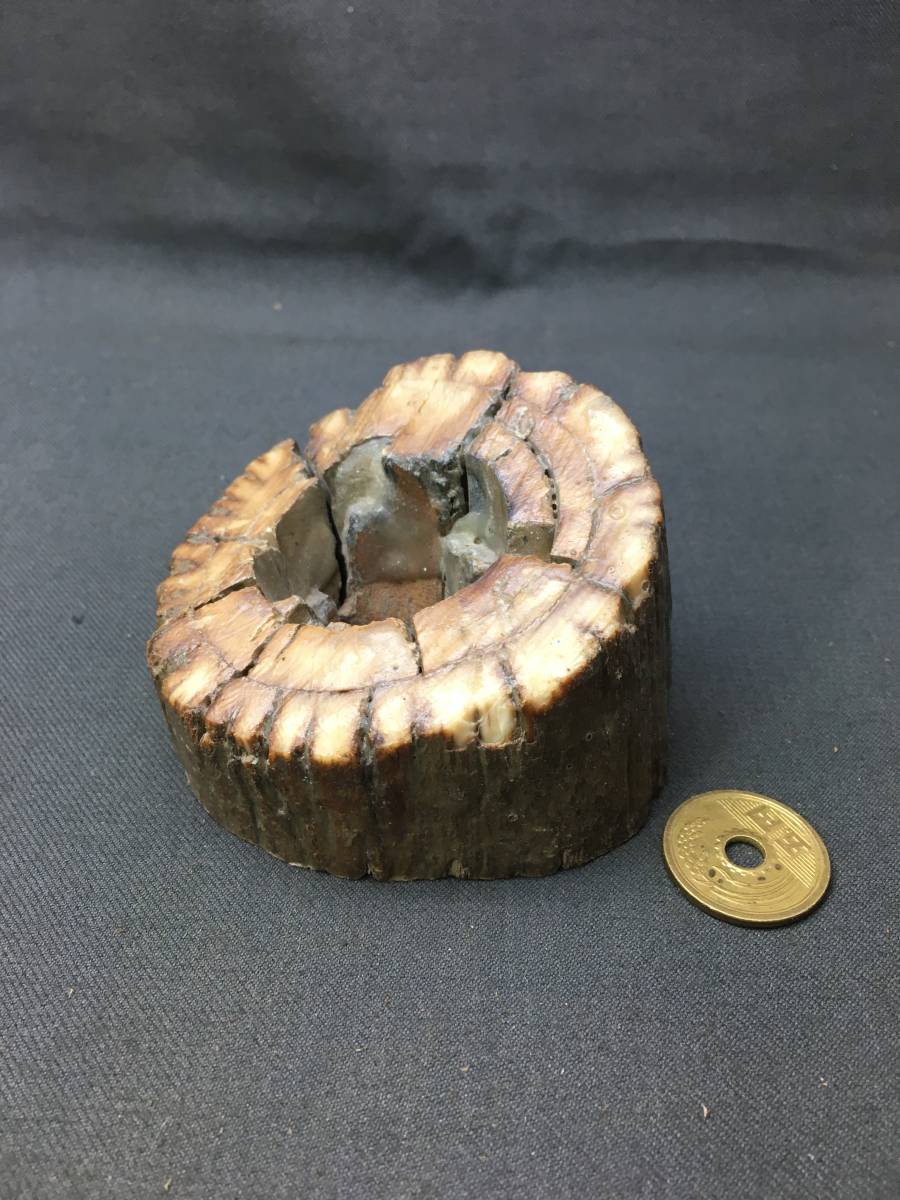 マンモス 牙 化石 根付 彫刻 おしどり オシドリ 鴛 鴦 公式に取扱