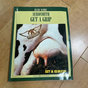 AEROSMITH GET A GRIP バンドスコア