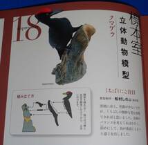 クマゲラ(熊啄木鳥)　週刊日本の天然記念物18 動物編　海洋堂制作立体動物模型_画像3