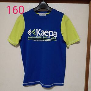 Kaepa ケイパ半袖Tシャツ