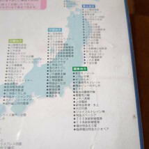 現状品　VHS 　日本列島　列車大行進　2000　REAL　REPORT　増刊　ビコム　VICOM_画像8