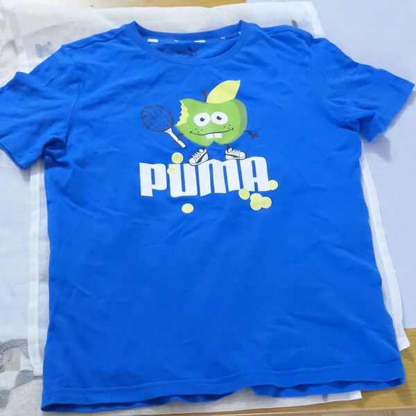 PUMA　キッズ 半袖Tシャツ　150ぐらい