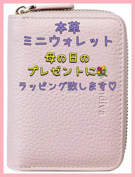 ミニ財布 カードケース レディース 本革 スキミング防止 コインスルー じゃばら