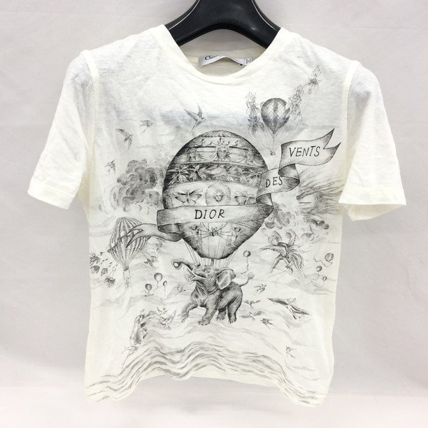 ディオール 半袖 Tシャツ CDロゴ 943J605A 0554-008（9）a-