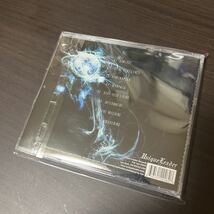 【新品同様】【レアCD】Lord of War / Celestial Pestilence【Deathcore】Ne Obliviscaris,Aborted,Obscura,Carcass,Black Crown Initiate_画像4