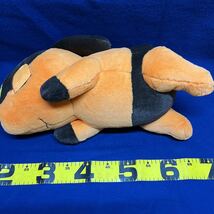 初夢　寝ている　ポカブ　ポケモンセンター　ぬいぐるみ　中古　状態良　ポケットモンスター　Pokemon BIG 寝そべり_画像4