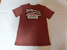 ☆激レア USA購入 【VOLCOM】ボルコム 【GIVEBACK SERIES】【HAWAII VOLCOM STONE 】イギリス国旗系ロゴプリントTシャツUS Mサイズ_画像4