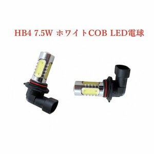 HB4 LED バルブ 車用LEDヘッドライトオートフォグランプ 12V　2個 ZERO GX1