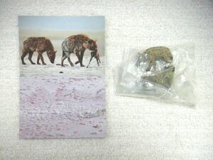 【BANDAI】世界自然動物 親子・ファミリーシリーズ アフリカ編《12:ハイエナファミリー》