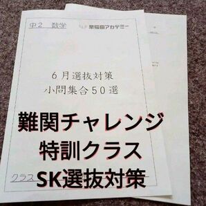 早稲田アカデミー　特訓選抜試験対策