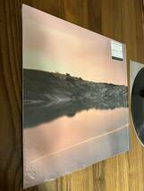 新品並 シュリンク Cassandra Jenkins (An Overview On) Phenomenal Nature LPレコード Canada カナダ 2021 Ambient Acid Folk_画像3