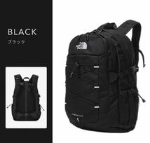 THE NORTH FACE ザ・ノース・フェイス NM2DN53A WHITE LABEL BOREALIS II ボレアリス2 バックパック リュックサック 30L 大容量_画像1