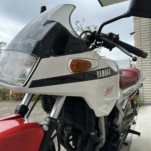 FZ250 フェザー 愛知県よりの画像5