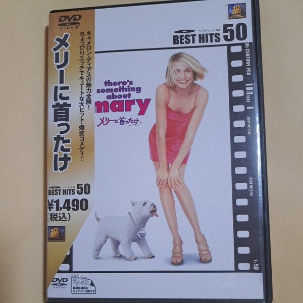 メリーに首ったけ DVD キャメロンディアス