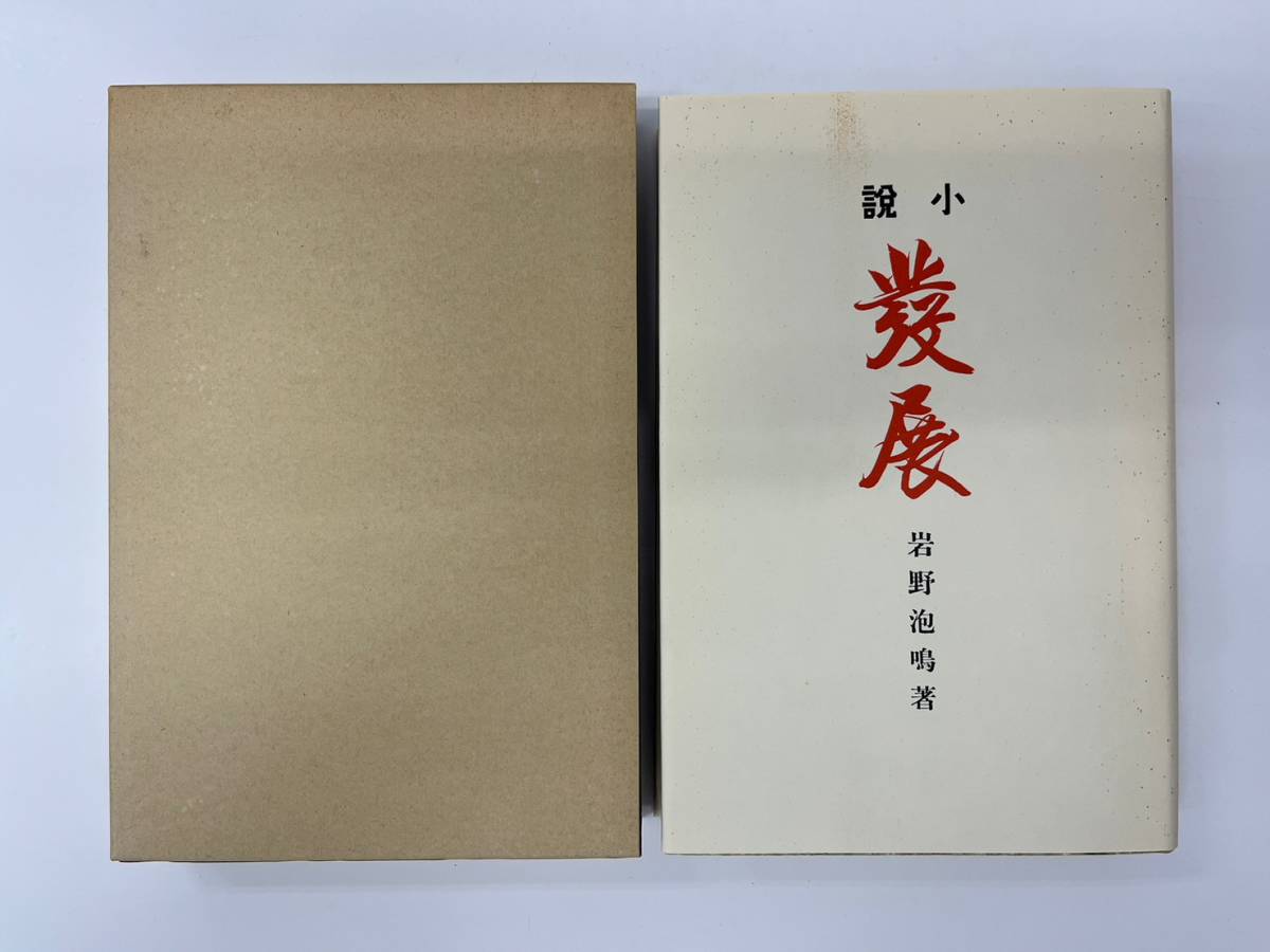 特価ブランド 小説 岩野泡鳴全集、全17冊揃、1994、臨川書店
