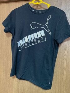 半袖Tシャツ　プーマ　Tシャツ　キッズ　ジュニア　PUMA スポーツ