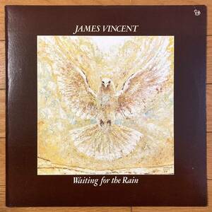 ■James Vincent■Waiting For The Rain■ジェイムス・ヴィンセント■PZ 34899■AOR