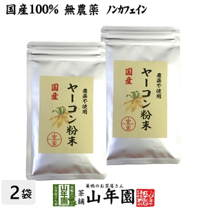 健康食品 国産100% 無農薬 ヤーコン粉末 50g×2袋セット 青森県産 ノンカフェイン 送料無料