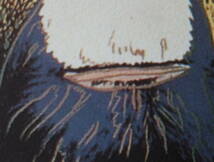 送料無料★アンディ・ウォーホルAndy Warhol (Orangutan)オラウータン★限定数売★販売証明書付属★リトグラフ 1/300★エスタンプ★超特価 _画像7