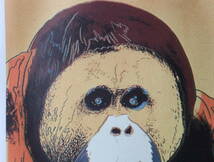 送料無料★アンディ・ウォーホルAndy Warhol (Orangutan)オラウータン★限定数売★販売証明書付属★リトグラフ 1/300★エスタンプ★超特価 _画像6